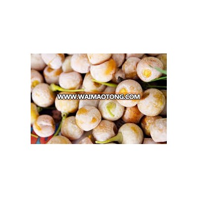 Raw Ginkgo Nuts good price Dried Gingko Good Quality